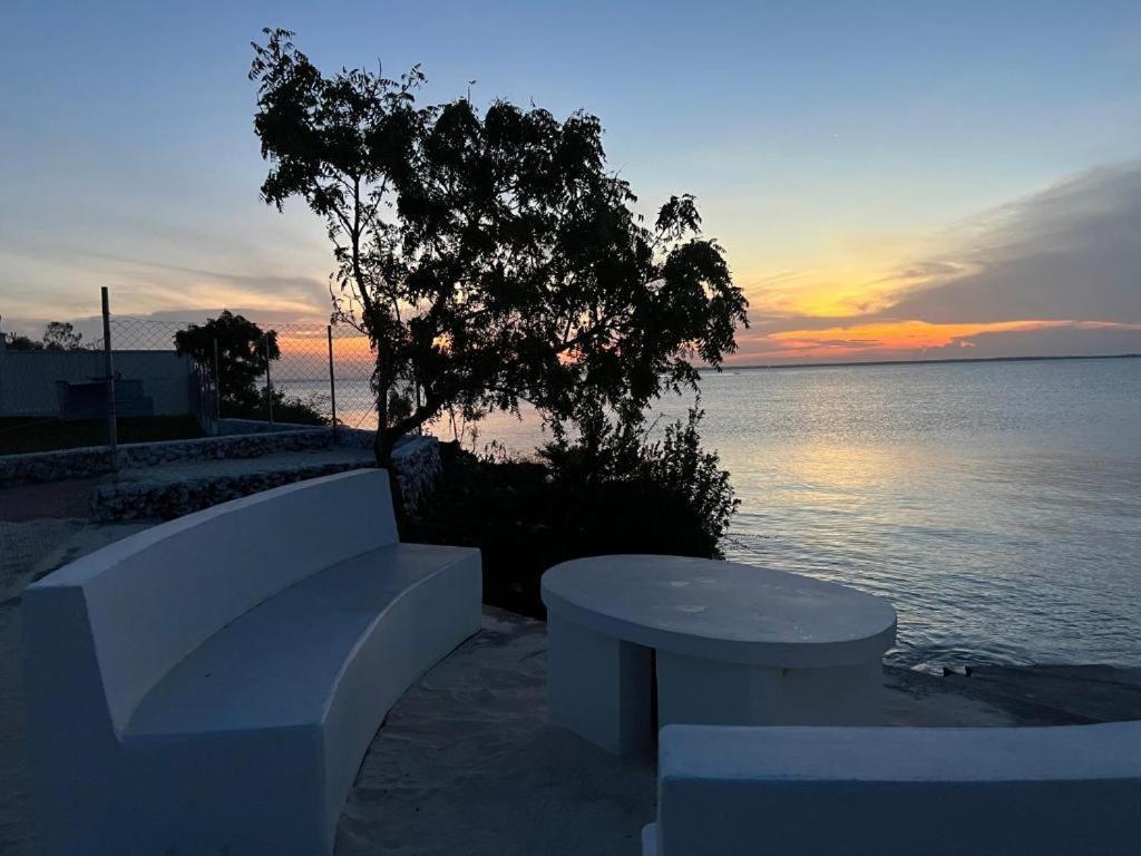 The Of Zanzibar * Kidoti